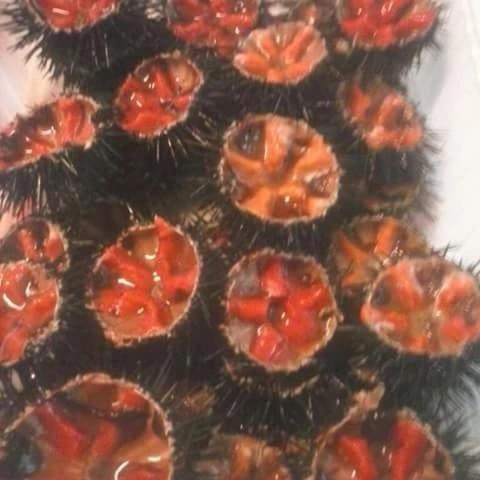 Dal Pescatore Appartamenti Savelletri Exterior foto