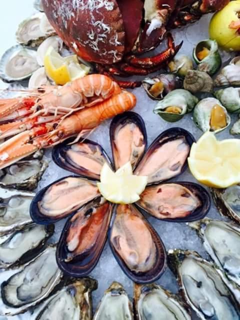 Dal Pescatore Appartamenti Savelletri Exterior foto
